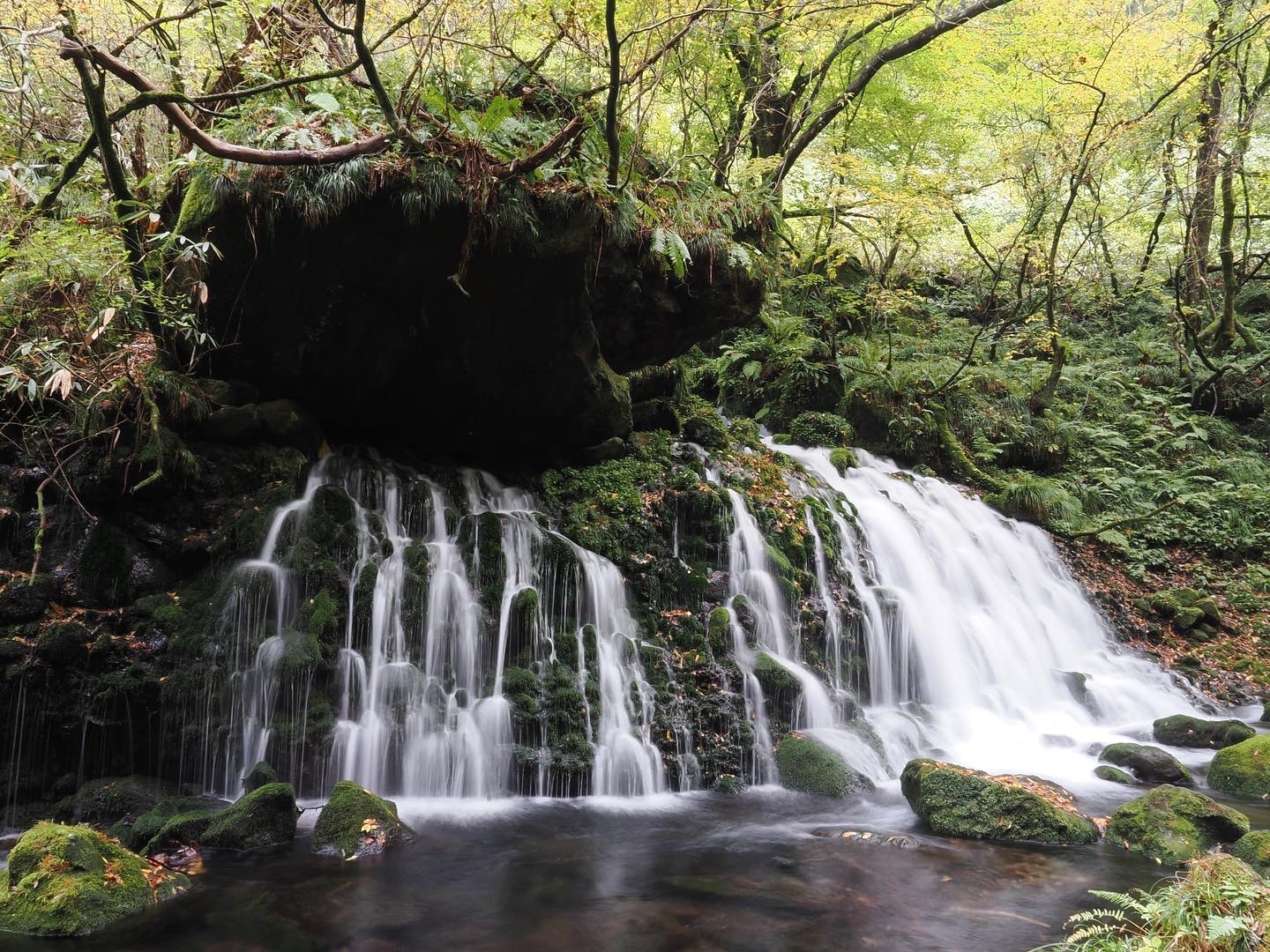 元滝伏流水｜木陰でひとやすみ｜大類造苑