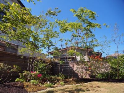 風にそよぐ落葉樹の寄せ植え 風にそよぐ落葉樹の寄せ植え|能代市の造園、庭づくり