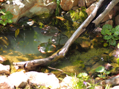 常時流れる地下水 常時流れる地下水|能代市の造園、庭づくり