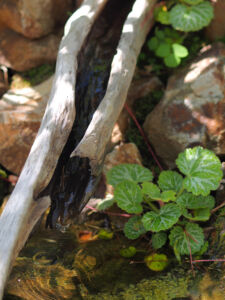 流木の筧 流木の筧|能代市の造園、庭づくり