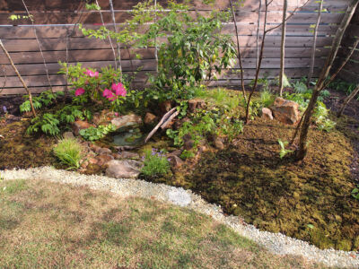 ビオトープと木立 ビオトープと木立|能代市の造園、庭づくり