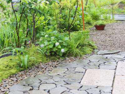 雨の日は苔が美しい 雨の日は苔が美しい|秋田市の造園、庭づくり