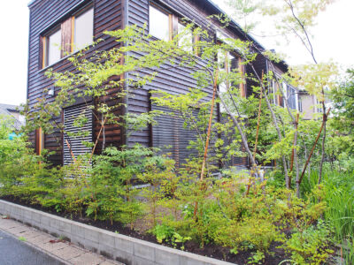 東から見る 東から見る|秋田市の造園、庭づくり