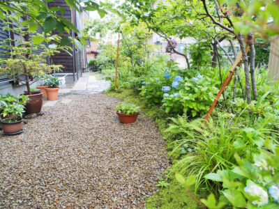 木々の成長する楽しみ 木々の成長する楽しみ|秋田市の造園、庭づくり