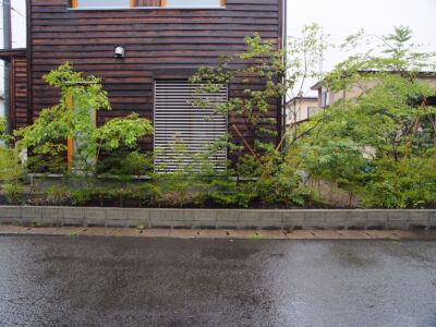 外壁と落葉樹の調和 外壁と落葉樹の調和|秋田市の造園、庭づくり
